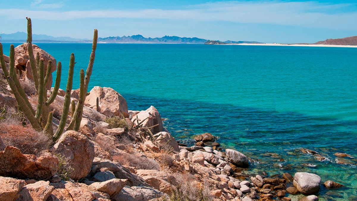 oficinas del inapam en baja california